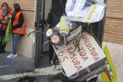 Activismo
