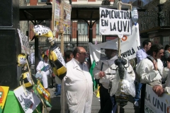 Activismo