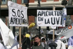 Activismo
