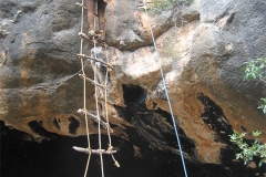 Biología  2010