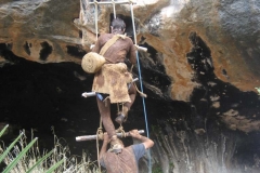 Biología  2010