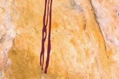 Biología  2010