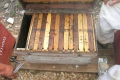 Biología  2005