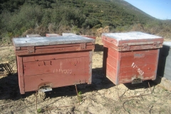 Biología  2012