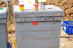 Biología 2019