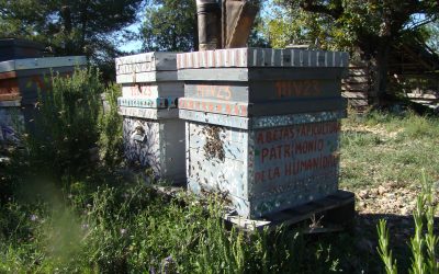 Día Internacional de la Abeja