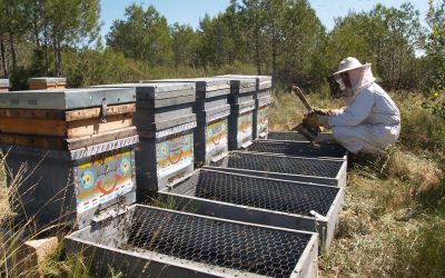 Colaboraciones de apiADS en trabajos publicados en revistas técnicas y científicas.