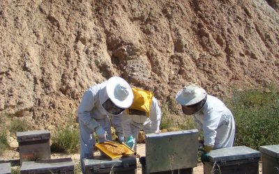 Asamblea General ApiADS 2019