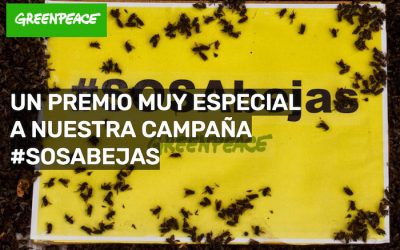 Premio a la campaña de Greenpeace #SOSabejas