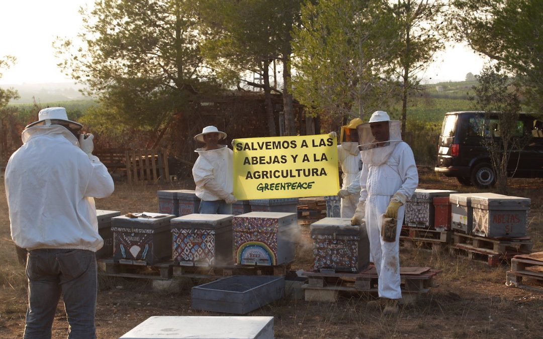 La apicultura valenciana amenazada